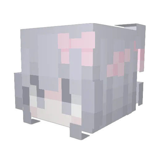 skorla Minecraft avatar head, 3D render