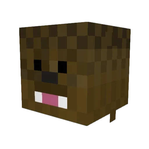 skott80 Minecraft avatar head, 3D render