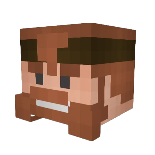 skoun4 Minecraft avatar head, 3D render