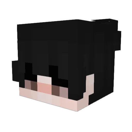 skr07 Minecraft avatar head, 3D render
