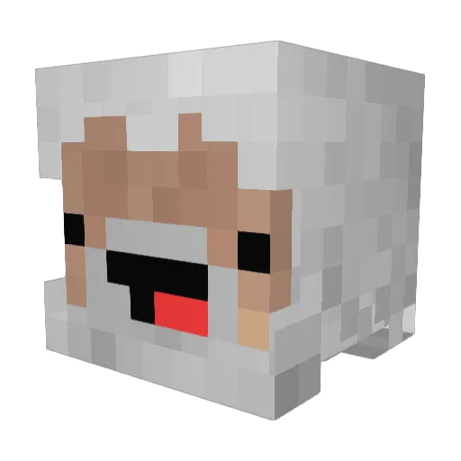 skrachface1 Minecraft avatar head, 3D render