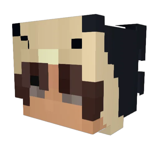 skrip1 Minecraft avatar head, 3D render