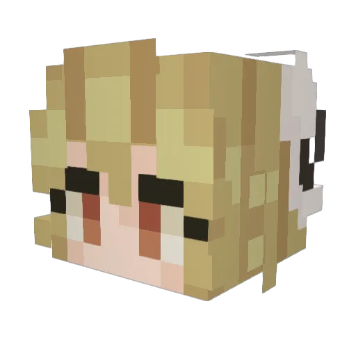 skrunklythe2st Minecraft avatar head, 3D render