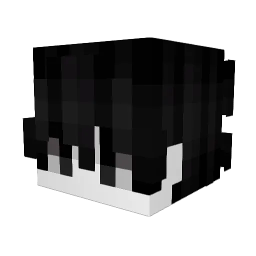 sks237 Minecraft avatar head, 3D render