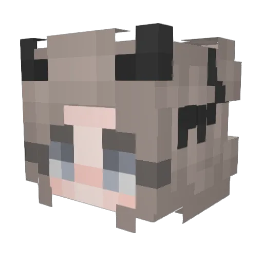 skskqt Minecraft avatar head, 3D render