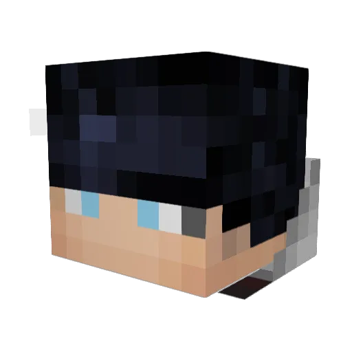 skt264 Minecraft avatar head, 3D render