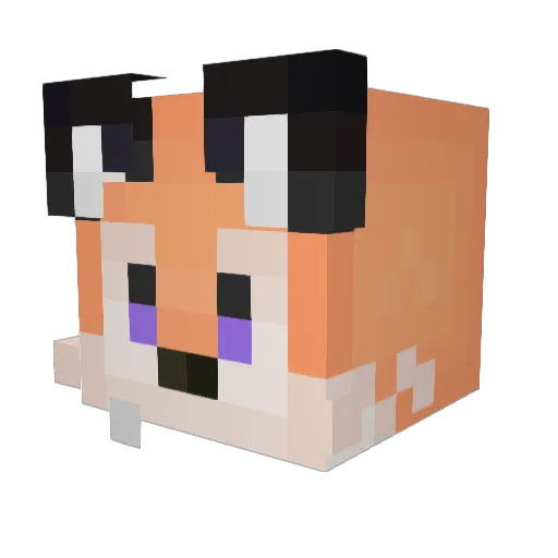skuasss Minecraft avatar head, 3D render