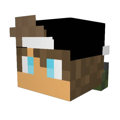 skul_crushur Minecraft avatar head, 3D render