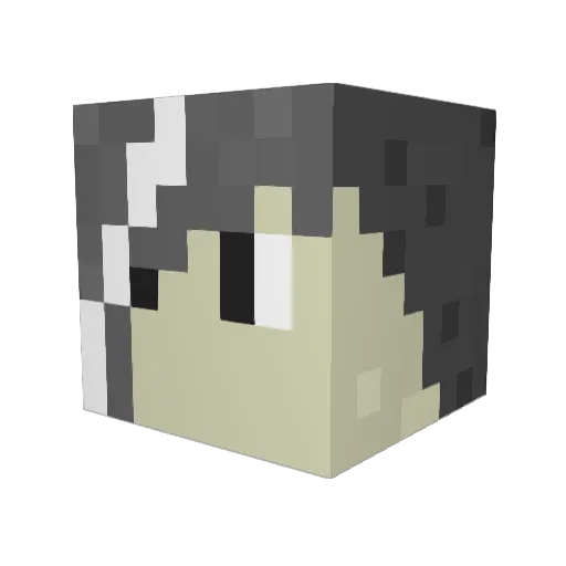 skullassansin Minecraft avatar head, 3D render