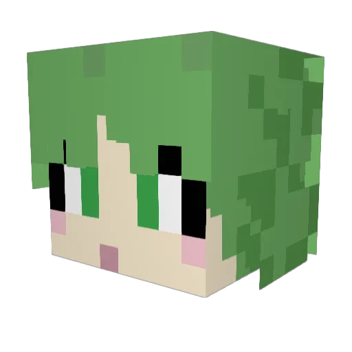 skullcrucher2015 Minecraft avatar head, 3D render