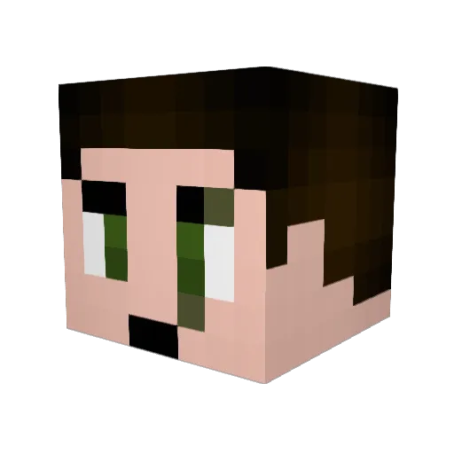skullguy882 Minecraft avatar head, 3D render