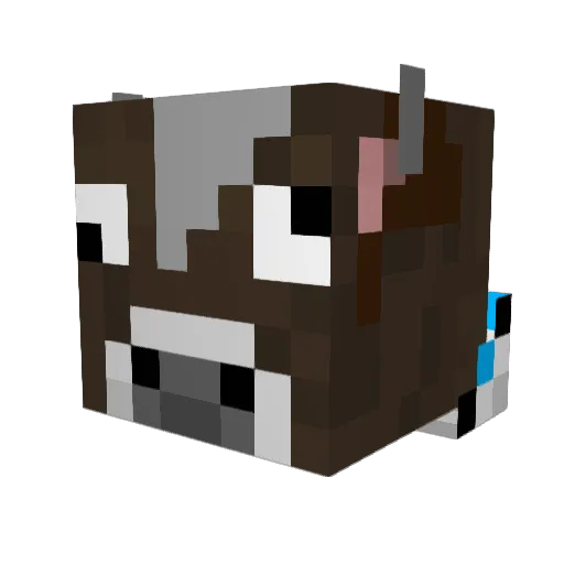 skullhead1312 Minecraft avatar head, 3D render