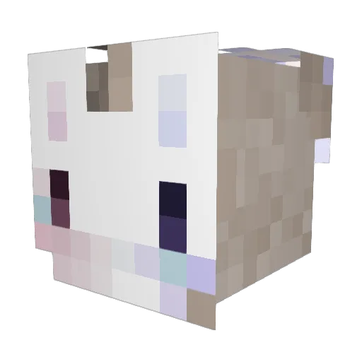 skullirieel Minecraft avatar head, 3D render