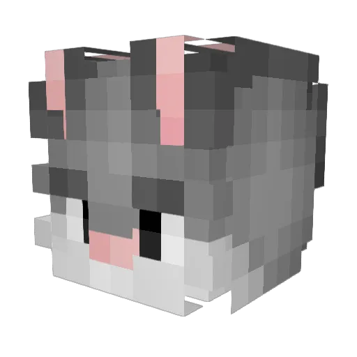 skullkid53008 Minecraft avatar head, 3D render