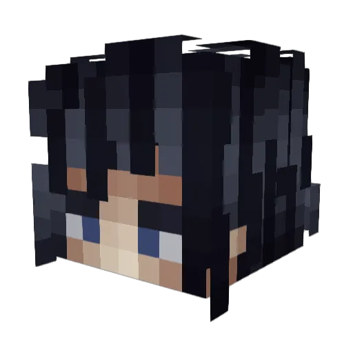 skullzzzzzzz Minecraft avatar head, 3D render