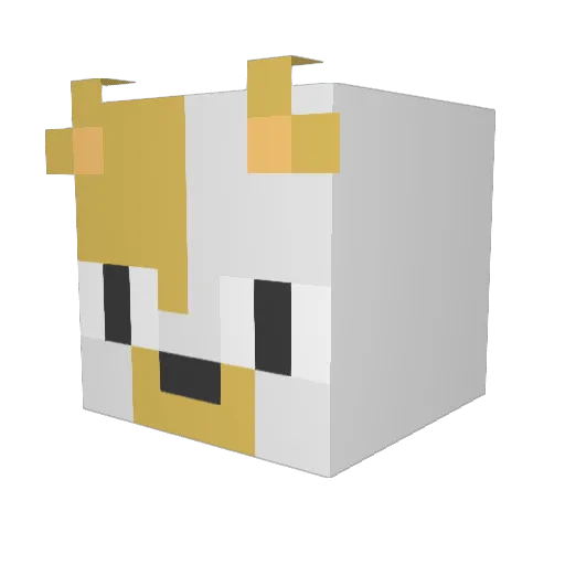 skump Minecraft avatar head, 3D render