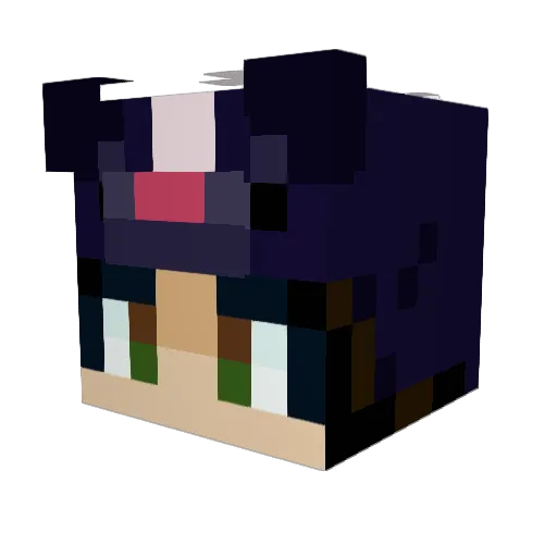 skunkpot Minecraft avatar head, 3D render