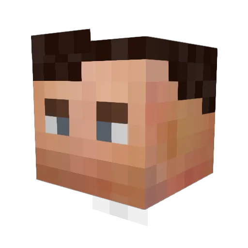 skwagaroo Minecraft avatar head, 3D render
