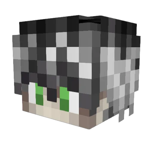 skweenison Minecraft avatar head, 3D render