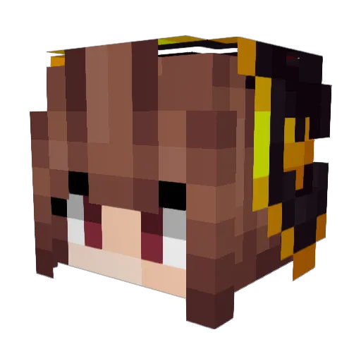 skwi Minecraft avatar head, 3D render