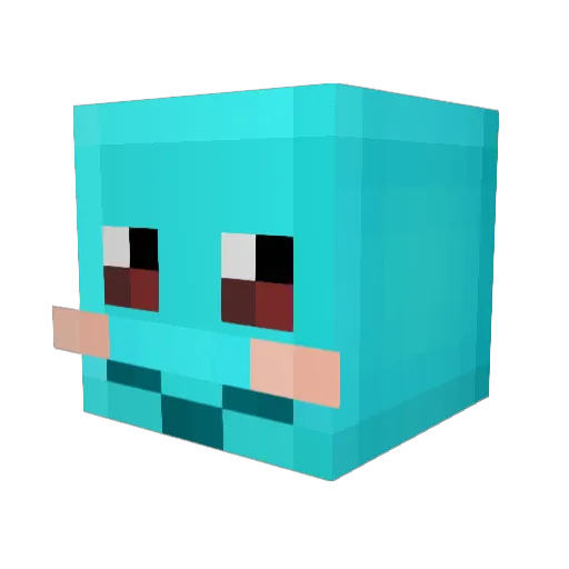 sky1009 Minecraft avatar head, 3D render