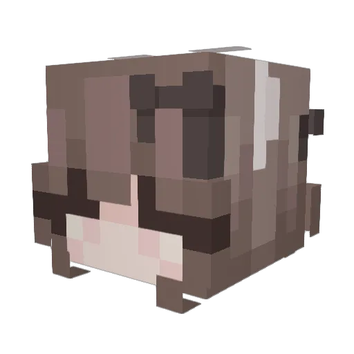 sky1212 Minecraft avatar head, 3D render