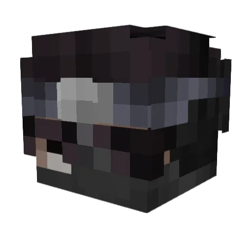 sky1arp Minecraft avatar head, 3D render