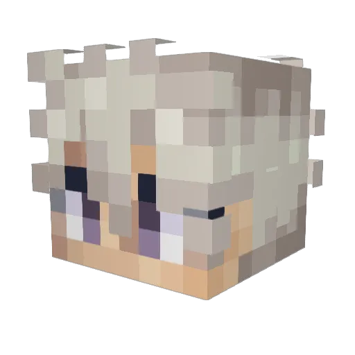 sky1esback Minecraft avatar head, 3D render