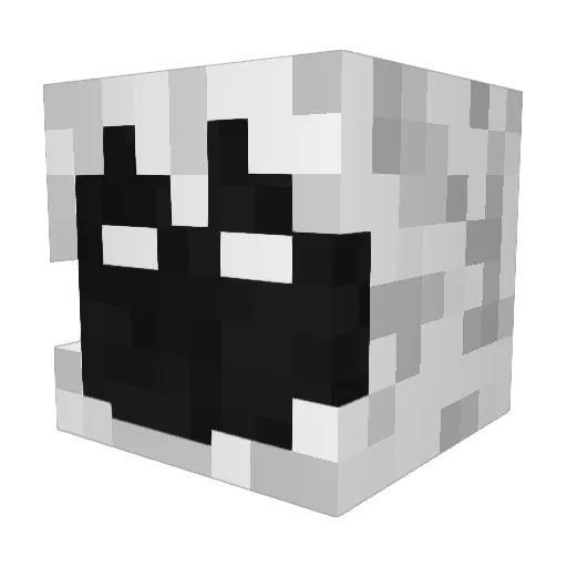 sky539 Minecraft avatar head, 3D render