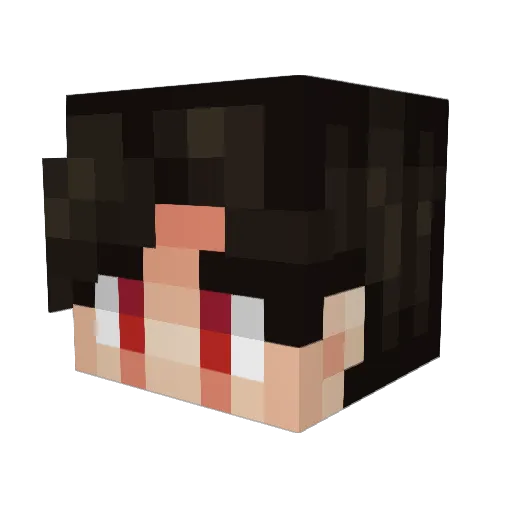 sky6656 Minecraft avatar head, 3D render