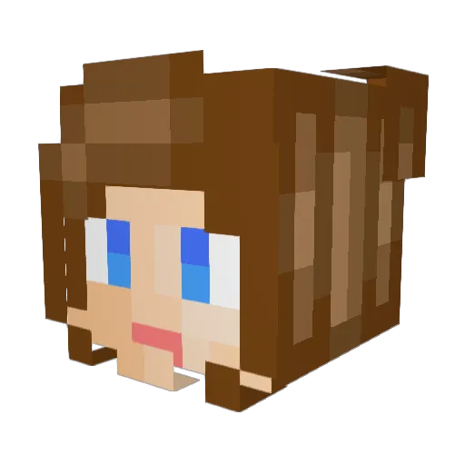 sky9595 Minecraft avatar head, 3D render