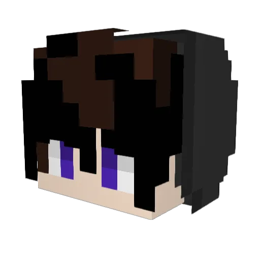 sky_0212 Minecraft avatar head, 3D render