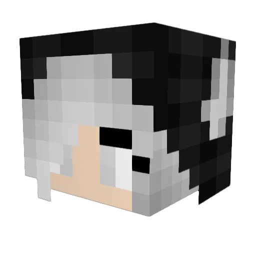 sky_forest Minecraft avatar head, 3D render