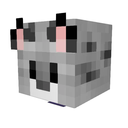 sky_fox80 Minecraft avatar head, 3D render