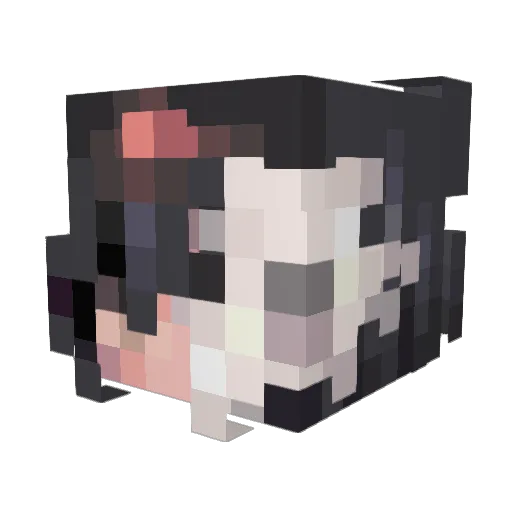 sky_hunter Minecraft avatar head, 3D render