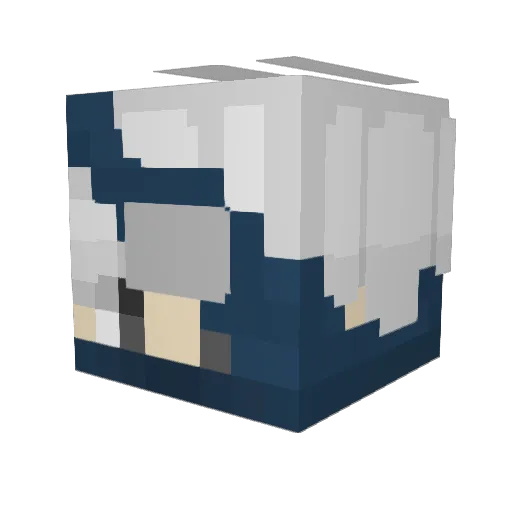 sky_master54 Minecraft avatar head, 3D render