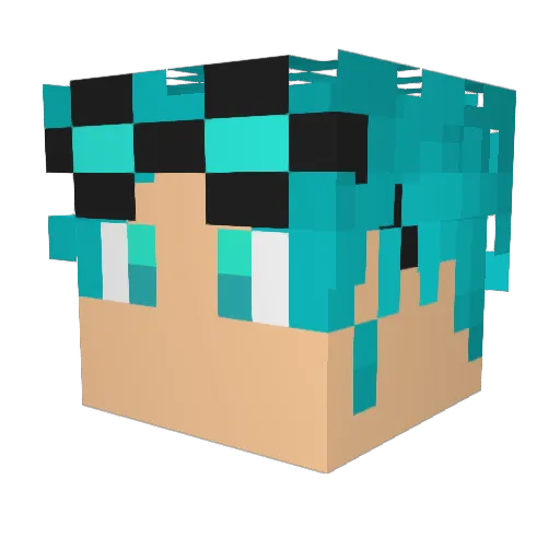 skyacken12 Minecraft avatar head, 3D render