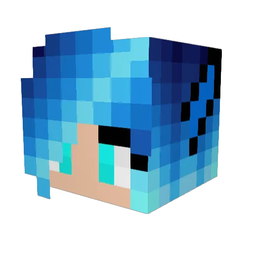 skybird31 Minecraft avatar head, 3D render