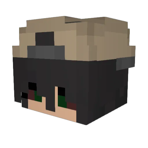 skyblockgrin420 Minecraft avatar head, 3D render