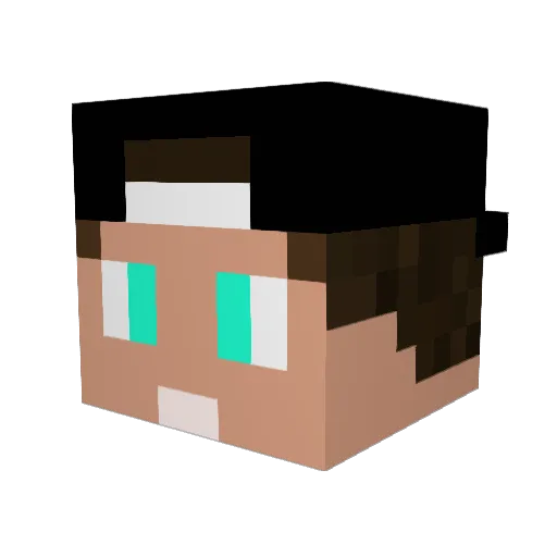 skyboy010 Minecraft avatar head, 3D render