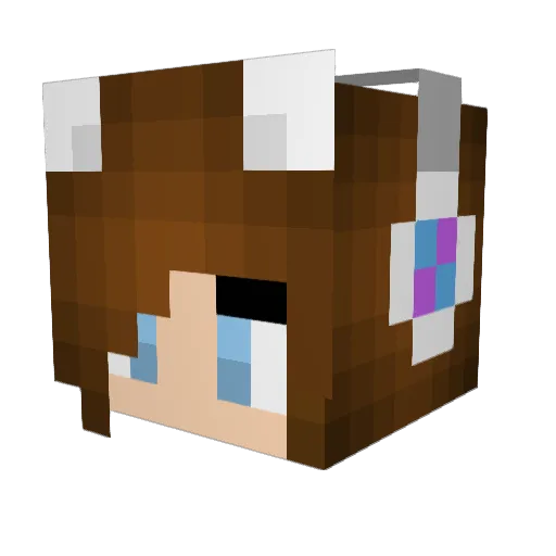 skybuscus_ Minecraft avatar head, 3D render
