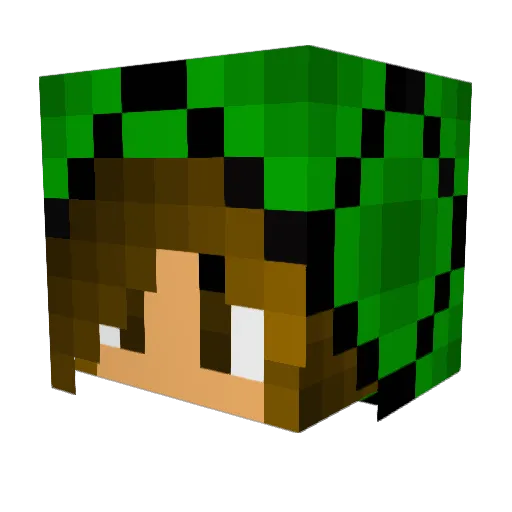 skycar5991 Minecraft avatar head, 3D render