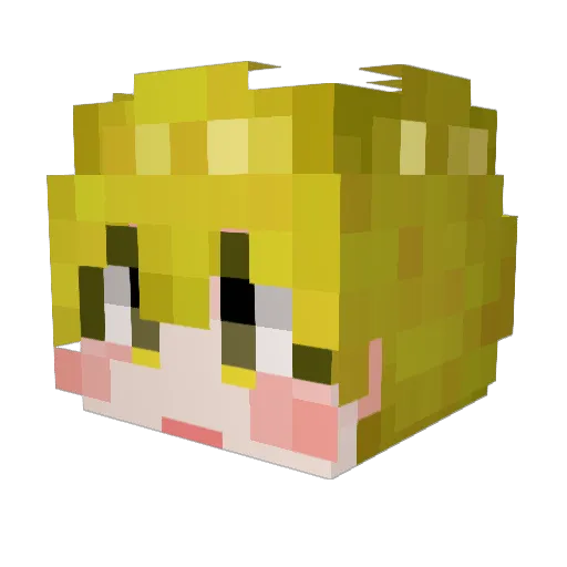 skycat1001 Minecraft avatar head, 3D render