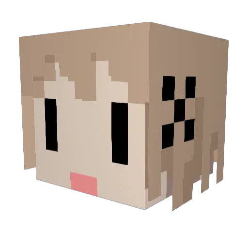 skycolors Minecraft avatar head, 3D render