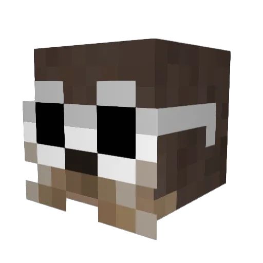 skydaddy9034 Minecraft avatar head, 3D render