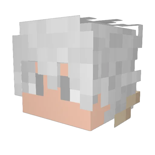skydevil292 Minecraft avatar head, 3D render