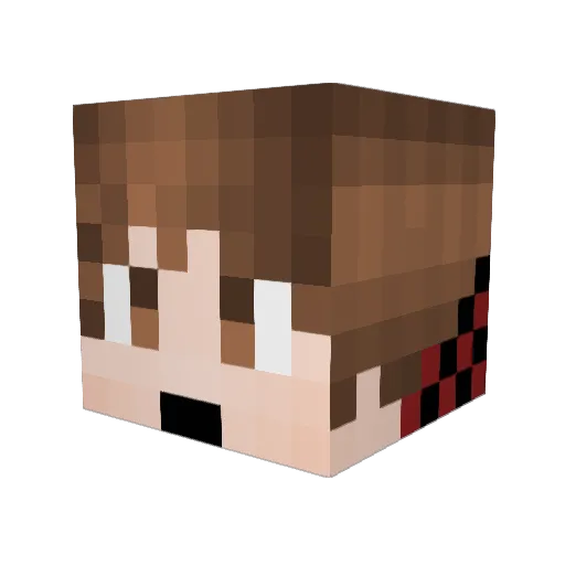 skydiver300 Minecraft avatar head, 3D render