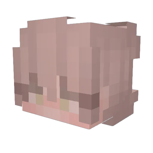 skyebulb Minecraft avatar head, 3D render