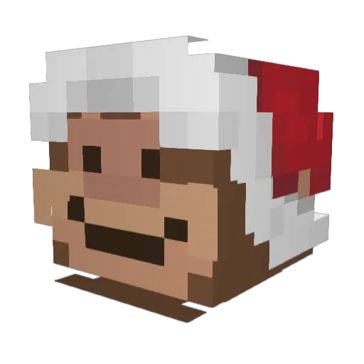 skyeflakees Minecraft avatar head, 3D render
