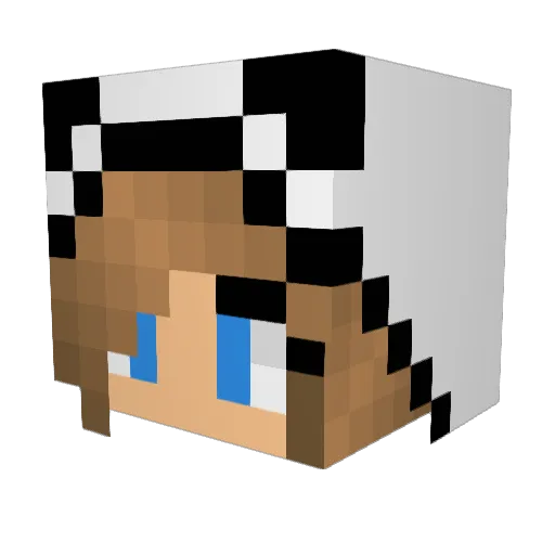 skyeforest Minecraft avatar head, 3D render
